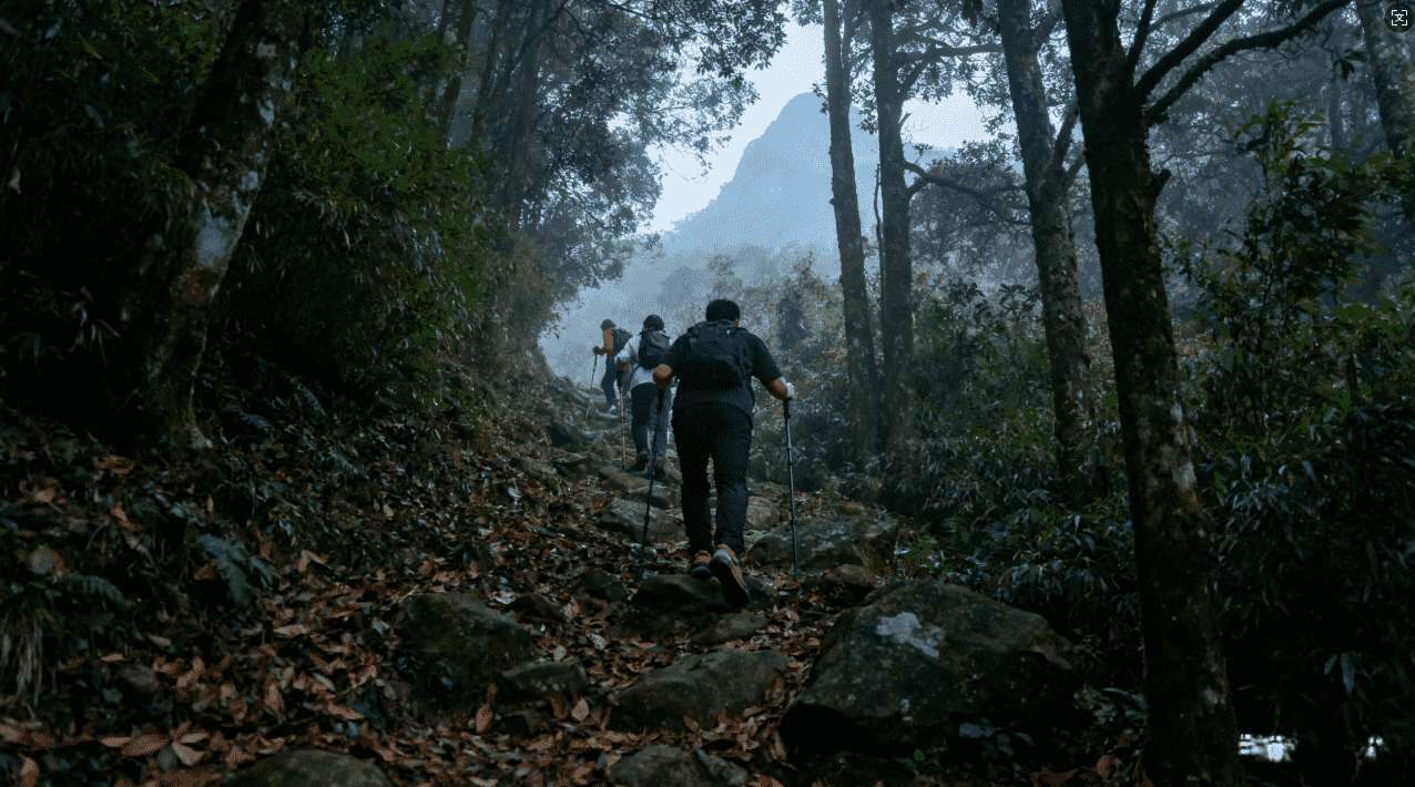 西柚加速器续费速度提升技巧